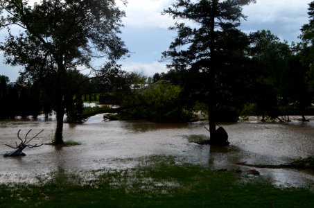 Flash flood Canandiagua NY July 23, 2017 01 yard