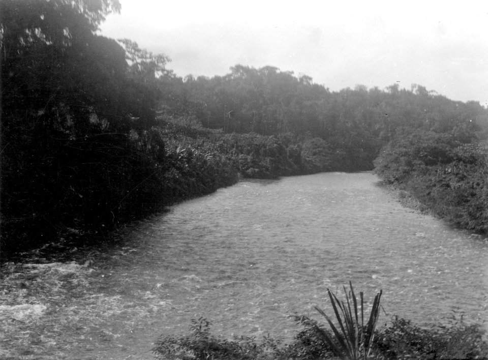 Flodbild från b.indianernas land. (katalogbild). Bogotá. Panama - SMVK - 004247