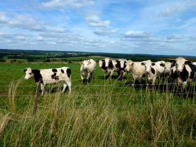 Fligny (Ardennes) paysage 01