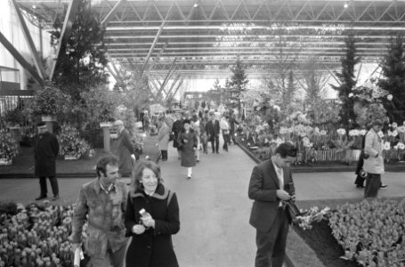 Floriadetentoonstelling in Amsterdam open voor publiek, Bestanddeelnr 925-4981