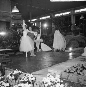 Floribunda 1965 te Rotterdam, officieel geopend, Bestanddeelnr 917-6019