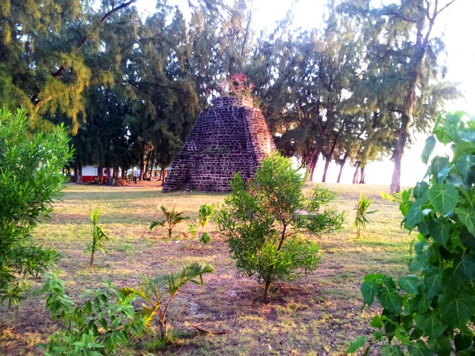 Flic-en-Flac - Mauritius - indigenous planting on beach