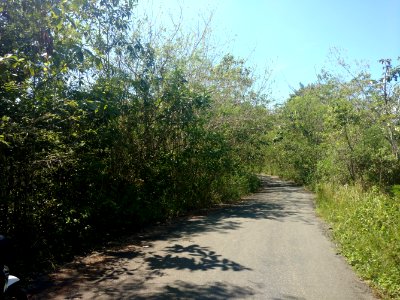 Flores island somewhere in the countryside 1