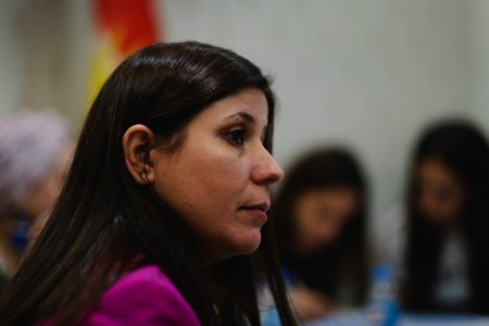 Florin Gorgis, Assyrian human rights and women's rights activist from Diana, Kurdistan Region, Iraq at a meeting in Erbil in her role as General Director of the KRG’s High Council of Women Affairs 09