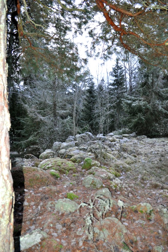 Floda 20 1 Hillfort
