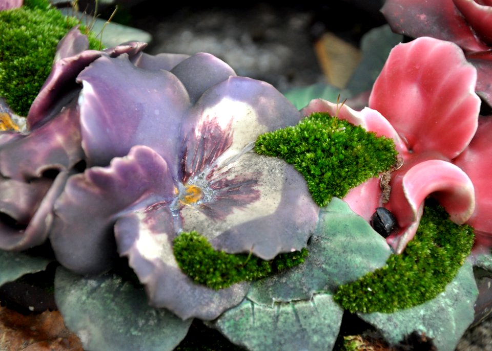 Fleurs de cimetière 29 01 2011 C 14