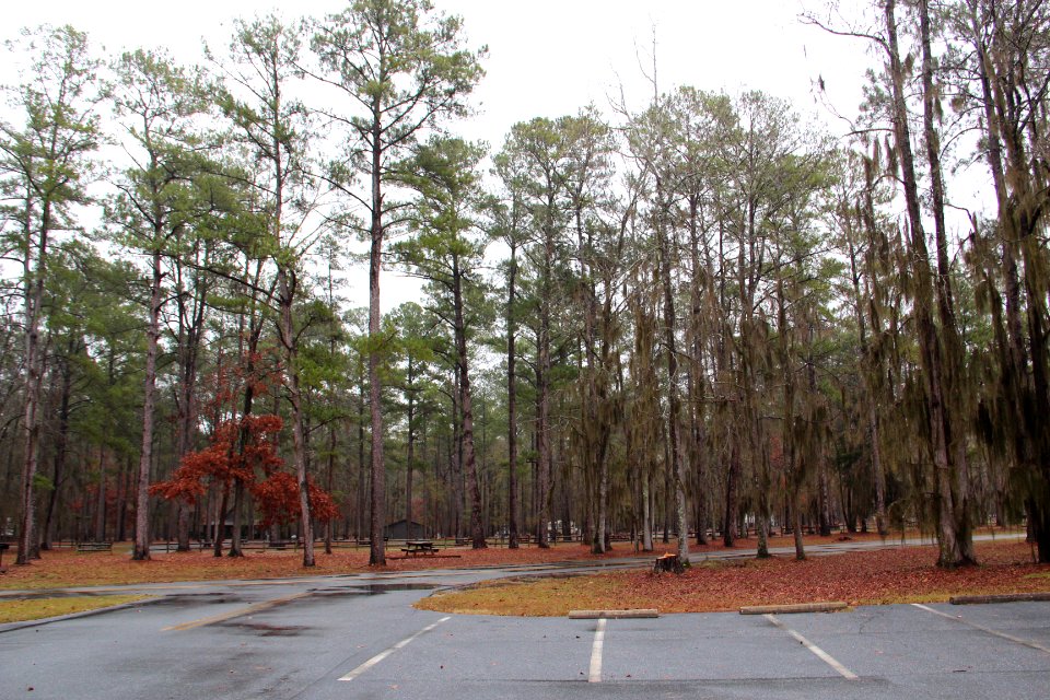 Florence state park campground