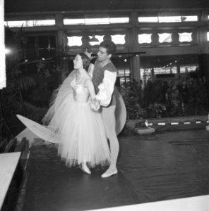 Floribunda 1965 te Rotterdam, officieel geopend, Bestanddeelnr 917-6020