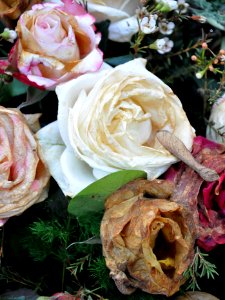 Fleurs de cimetière 29 01 2011 R 03