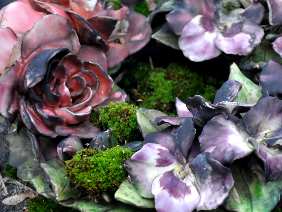 Fleurs de cimetière 29 01 2011 C 06