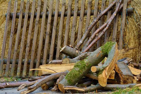 Rustic firewood farm