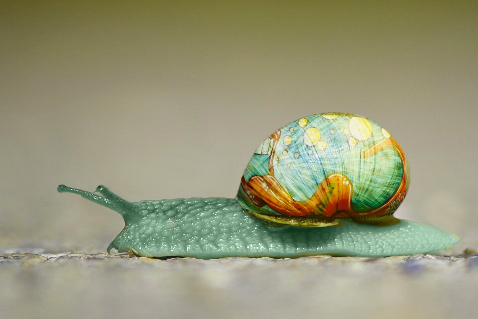 Unreal art shell