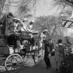 Floribunda 1965 te Rotterdam, officieel geopend, uitstappen Haarlemse bloemenmei, Bestanddeelnr 917-6017