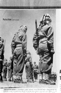 Fotoreproductie van een krantenartikel over de strijd in Palestina, Bestanddeelnr 1358