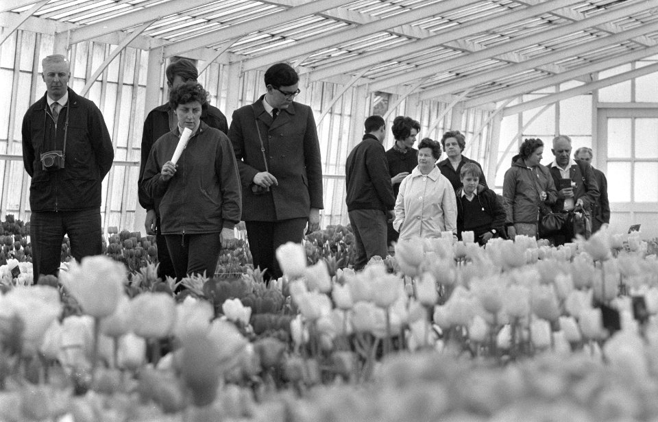 Fotograferende toerist tussen de bloeiende bollen op Keukenhof drukte in kassen, Bestanddeelnr 922-2860