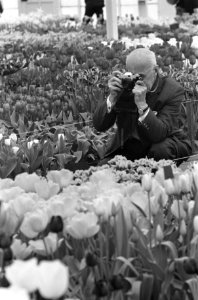 Fotograferende toerist tussen de bloeiende bollen op Keukenhof, Bestanddeelnr 922-2859