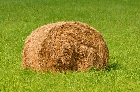 Hay straw bales bale photo