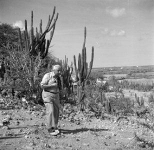 Fotograaf Willem van de Poll in het Arubaanse landschap, Bestanddeelnr 252-7979