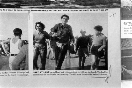 Fotoreproductie van een krantenartikel over de strijd in Palestina, Bestanddeelnr 1359