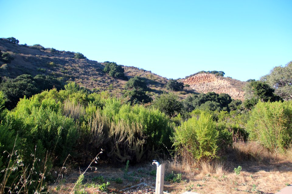 Fort Ord National Monument, Aug 2019