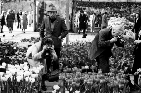 Fotograferende toeristen in kassen, Bestanddeelnr 930-2114