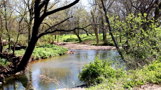 Flint Creek in Springtown, Arkansas