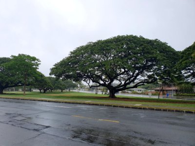 Fort Ruger Park