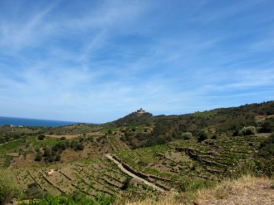 Fort Saint-Elme - 2016 02