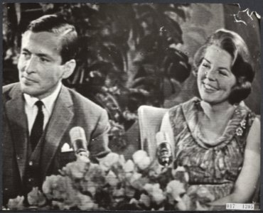 Foto genomen van televisiescherm, Bestanddeelnr 017-1205
