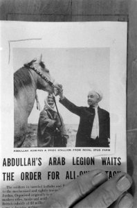 Fotoreproductie van een krantenartikel over de strijd in Palestina, Bestanddeelnr 1356