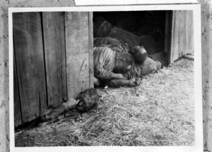Foto van een kampfoto gemaakt in Gardelegen, Bestanddeelnr 254-3661