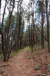 Fort mountain trail
