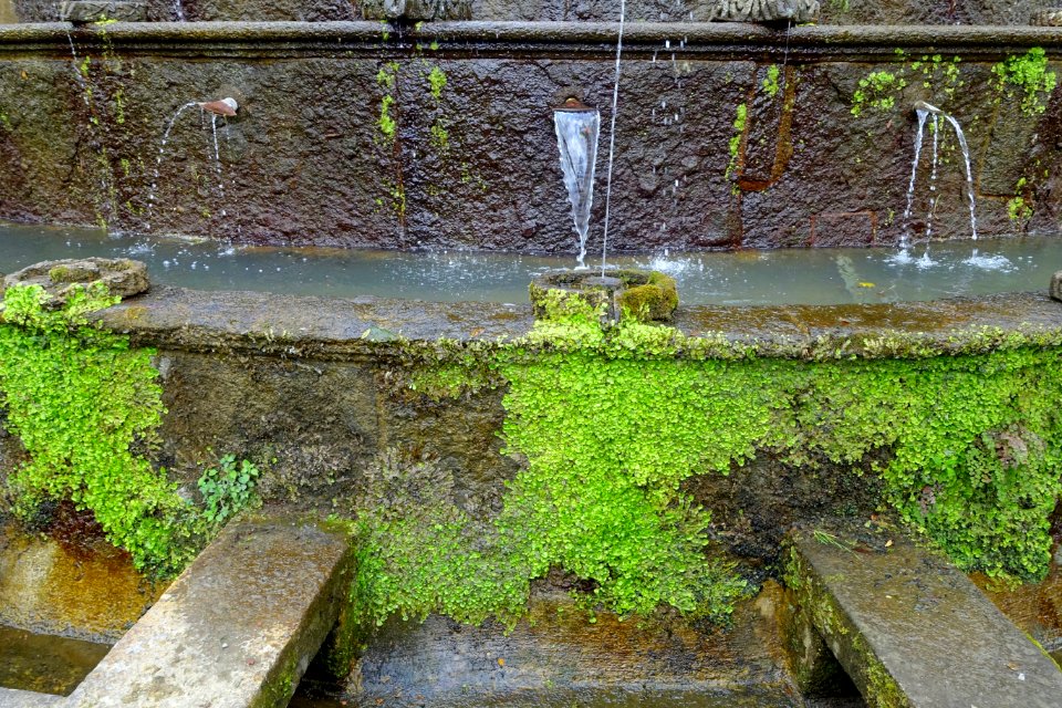 Fountain of the Lamps - Villa Lante, Bagnaia, Italy - DSC02003
