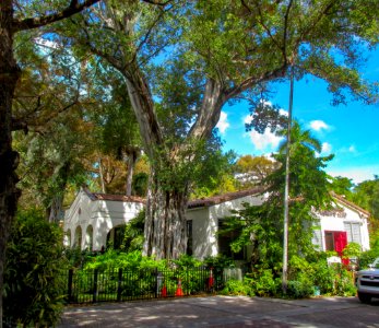 Fort Lauderdale Woman's Club setting view 2