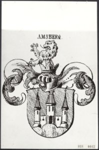 Foto van getekend familiewapen, Bestanddeelnr 018-0042