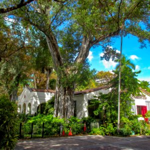 Fort Lauderdale Woman's Club setting view