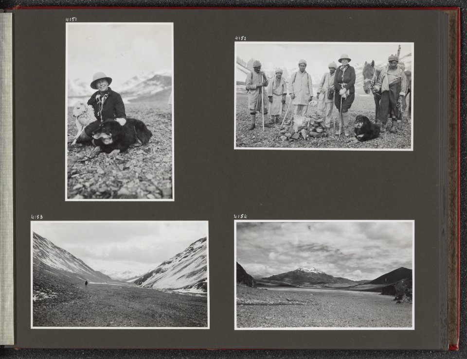 Fotoalbum met vier fotos. Linksboven Jenny Visser-Hooft met het schaap Piet en, Bestanddeelnr 39 17