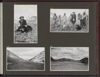 Fotoalbum met vier fotos. Linksboven Jenny Visser-Hooft met het schaap Piet en, Bestanddeelnr 39 17