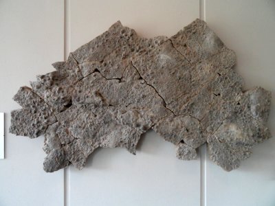 Fossil sea floor from Rottershausen - Mineralogisches Museum der Universität Würzburg - DSC02880