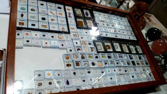 Fossilium 2012 30