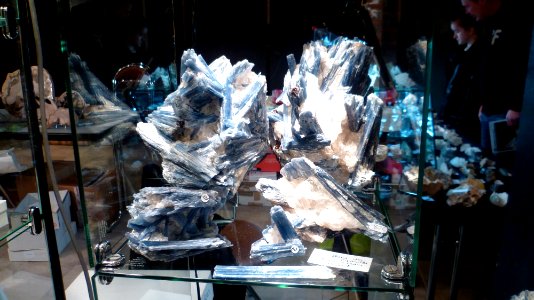 Fossilium 2012 41