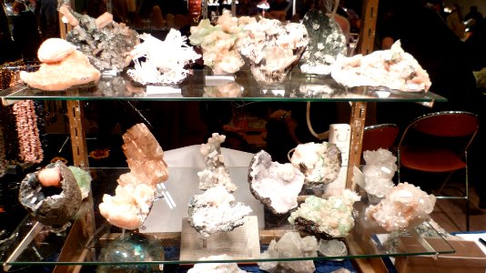 Fossilium 2012 50