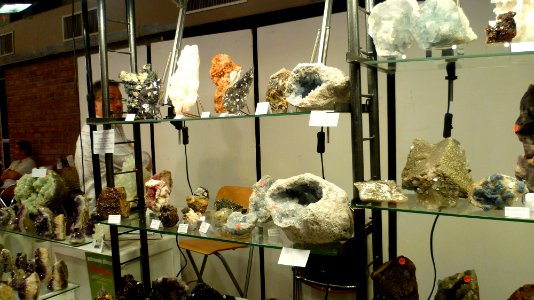 Fossilium 2012 32