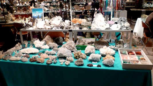 Fossilium 2012 29