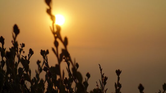 Vacations nature dusk