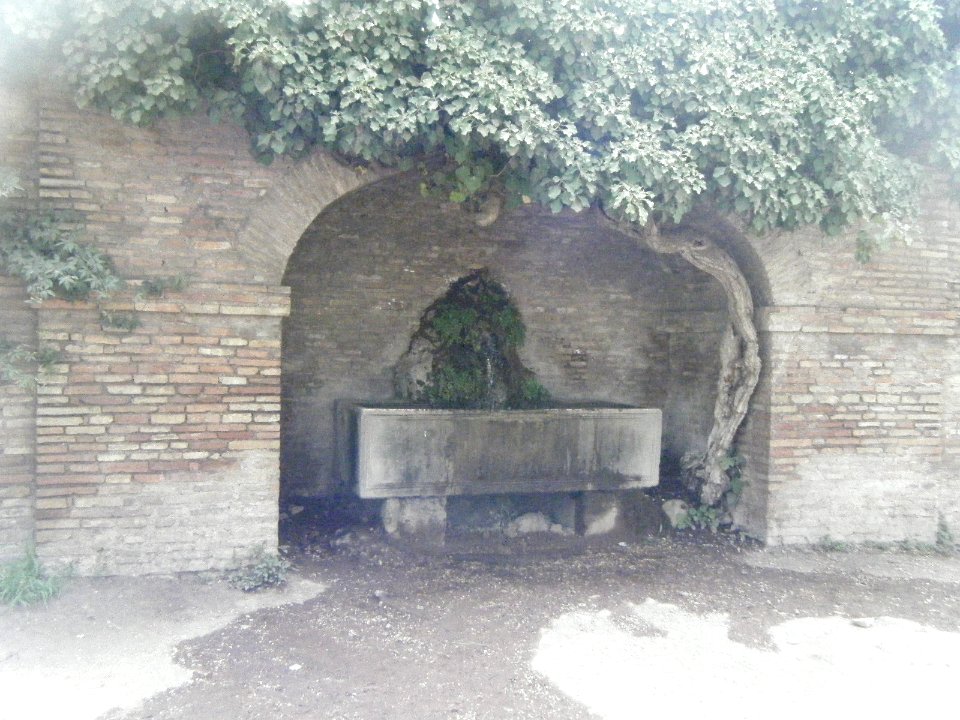 Forum Romanum 20130629 45