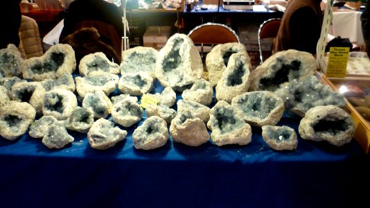 Fossilium 2012 43