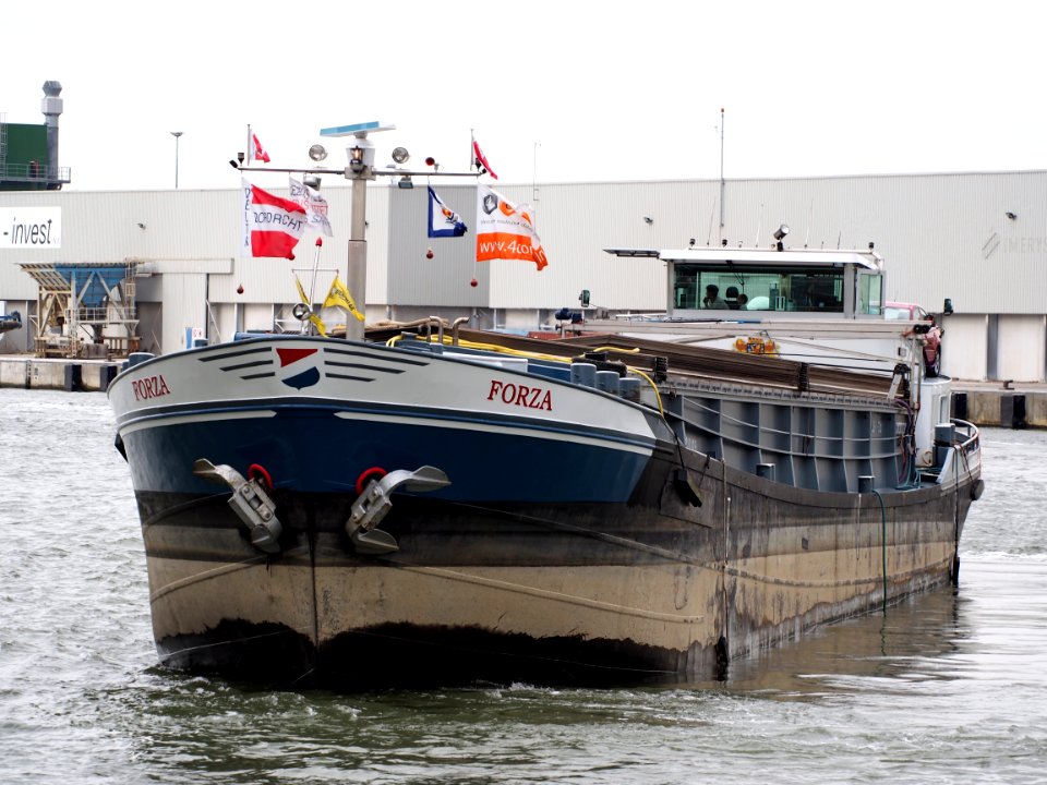 Forza (ship, 1961), ENI 03021295, Port of Antwerp pic3