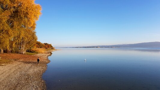 Nature autumn reflection