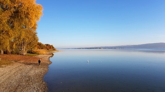 Nature autumn reflection photo